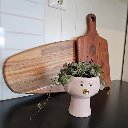 Apartamento Kvaloya Aurora *