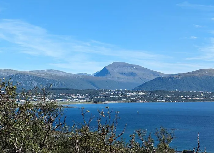 Kvaloya Aurora *