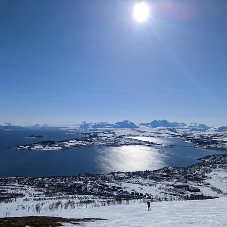 Kvaloya Aurora